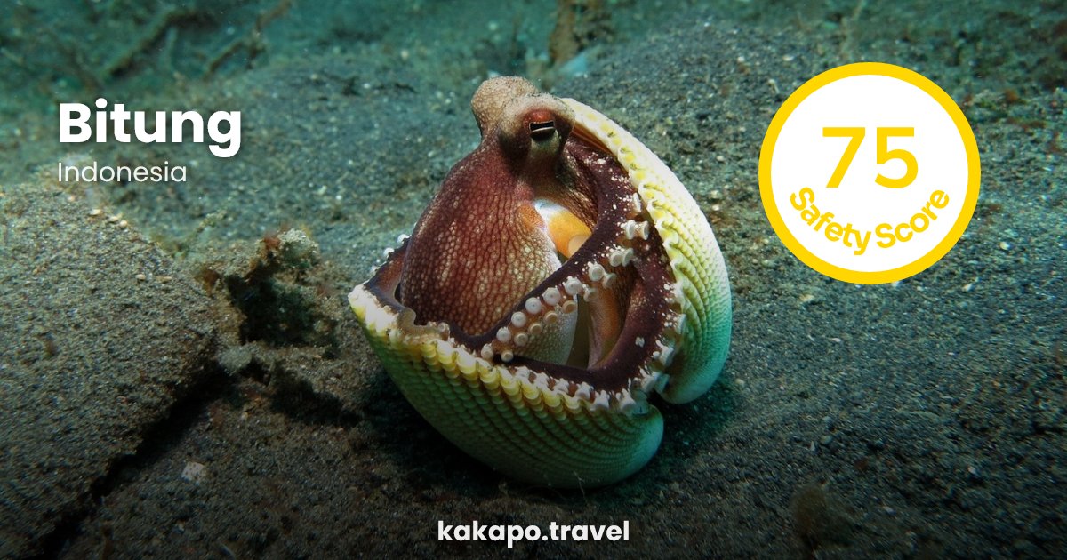 Is Bitung, Indonesia safe? — Kakapo travel safety guide