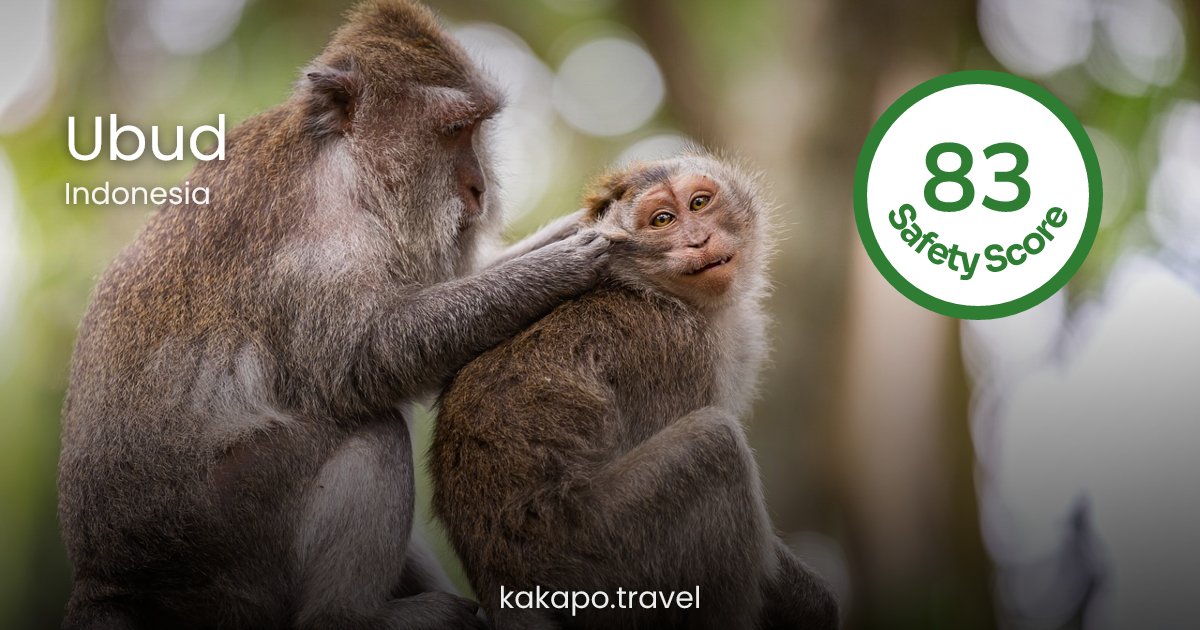 Is Ubud, Indonesia safe? — Kakapo travel safety guide