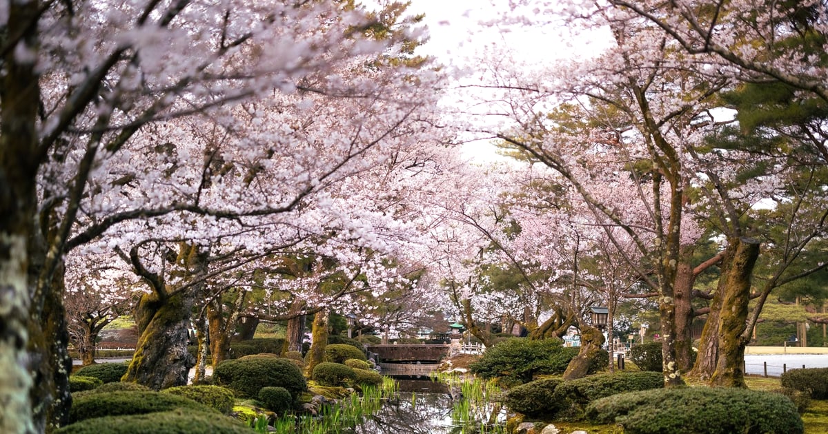 The Safest Cities You've Never Heard Of