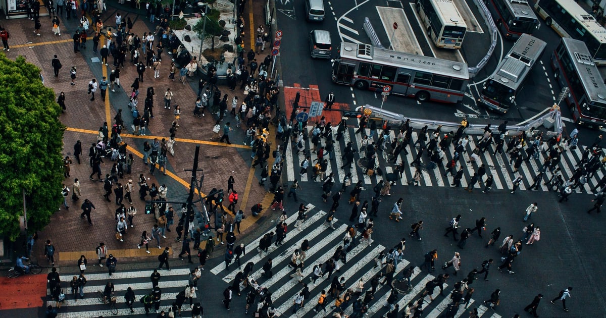 The Tourist Paradox