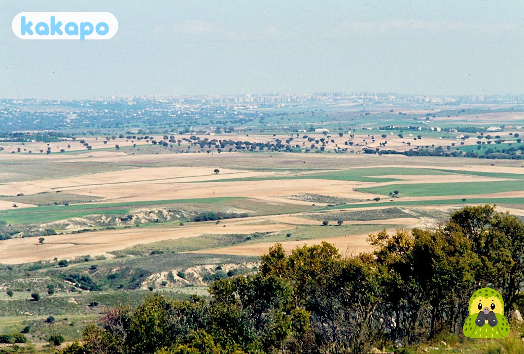 Tagesausflüge — Toledo, Segovia, El Escorial in Madrid, Spanien — Kakapo Reisesicherheits-Leitfaden