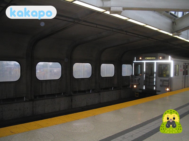 Transport, Taxis, der Flughafen in Toronto, Kanada — Kakapo Reisesicherheits-Leitfaden