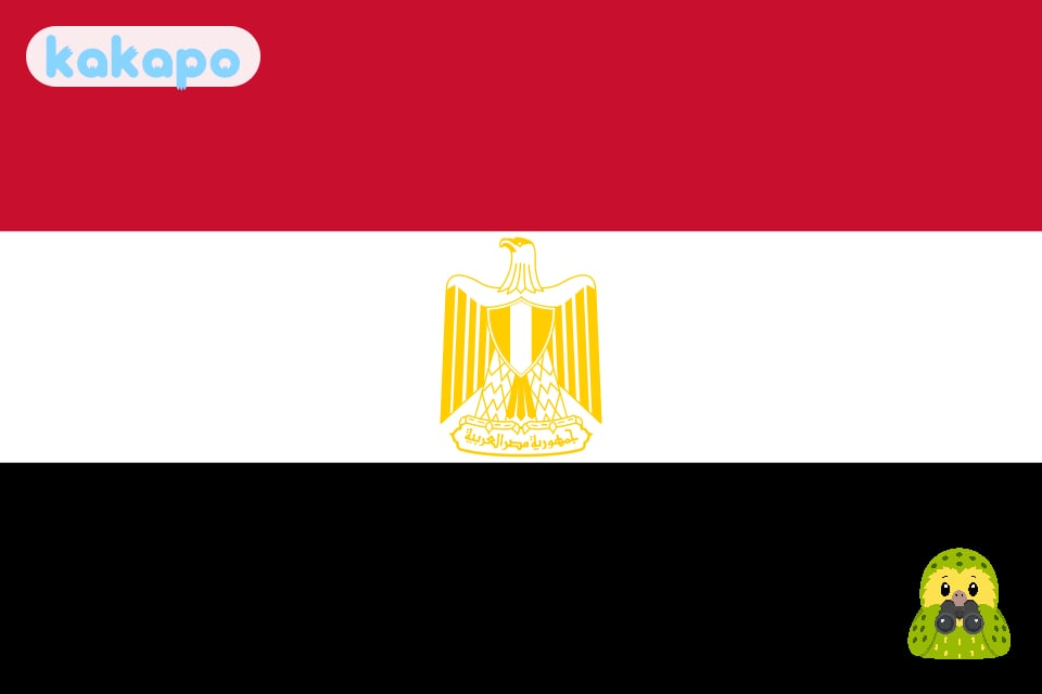 The pattern — how the scam runs in Cairo & Luxor, Egypt — Kakapo travel safety guide