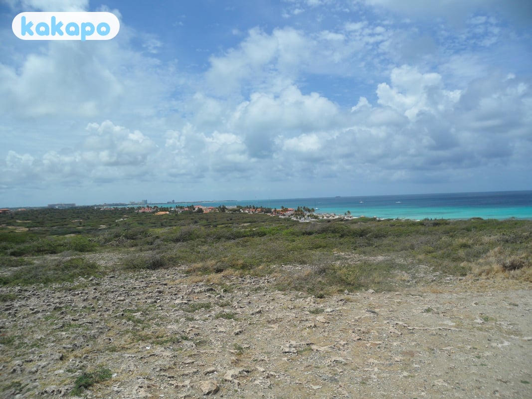 Playas — sotavento calmado vs barlovento rugoso in Aruba, Aruba — Guía de seguridad de viajes Kakapo