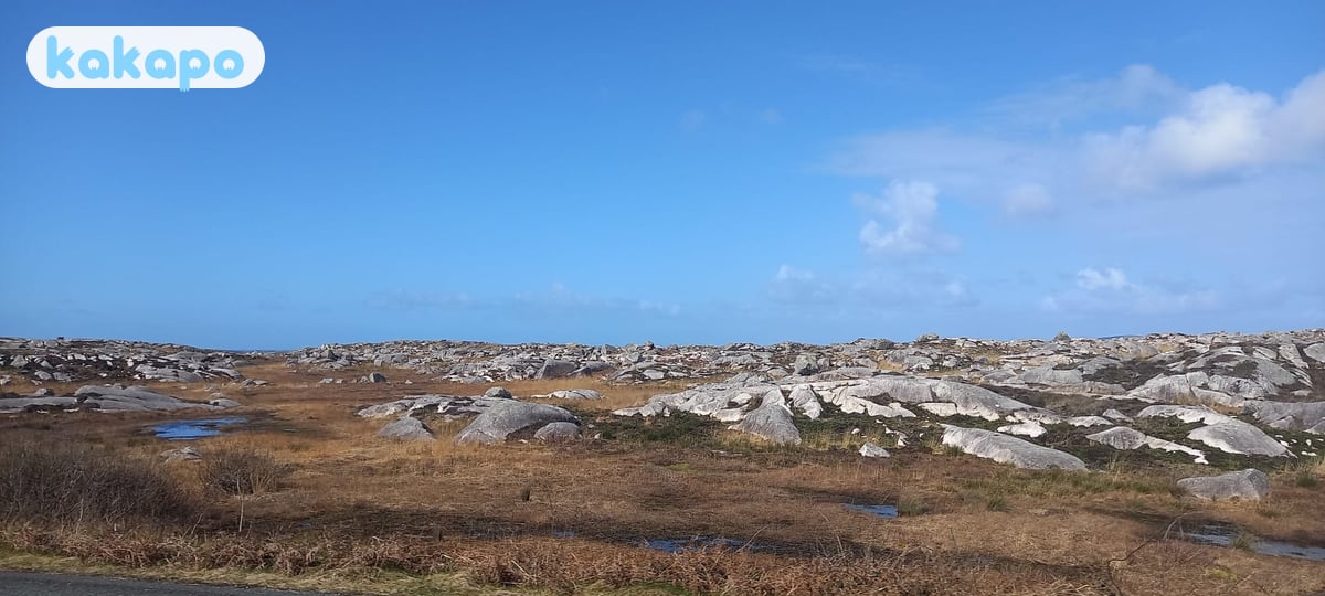 Excursiones de un día — Islas Aran, Connemara in Galway, Irlanda — Guía de seguridad de viajes Kakapo