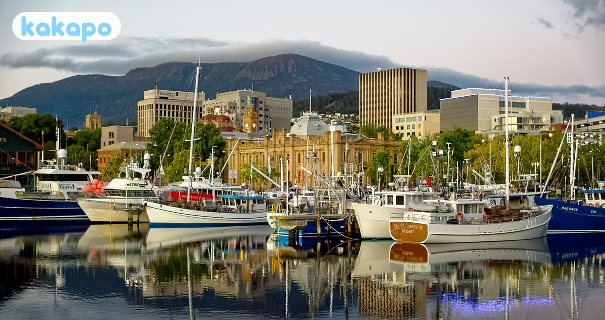 Transporte — Aeropuerto de Hobart, autobuses, conducción in Hobart, Australia — Guía de seguridad de viajes Kakapo