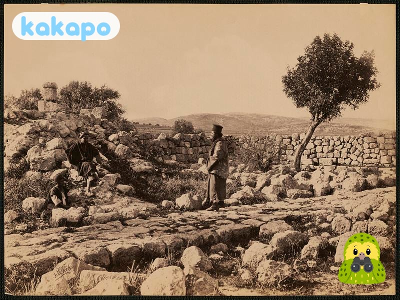 Transport — conduire, l'aéroport in Bethlehem, États-Unis — Guide de sécurité voyage Kakapo