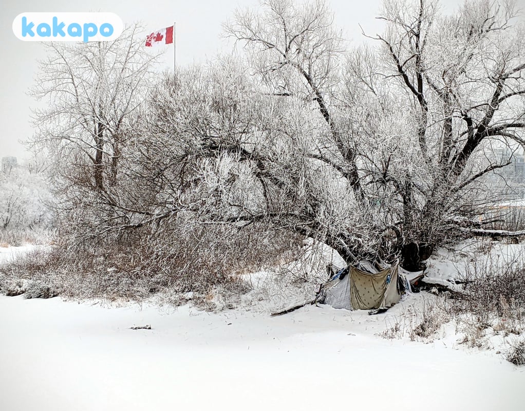 Froid hivernal + vents chinooks — météo caractéristique de Calgary in Calgary, Canada — Guide de sécurité voyage Kakapo