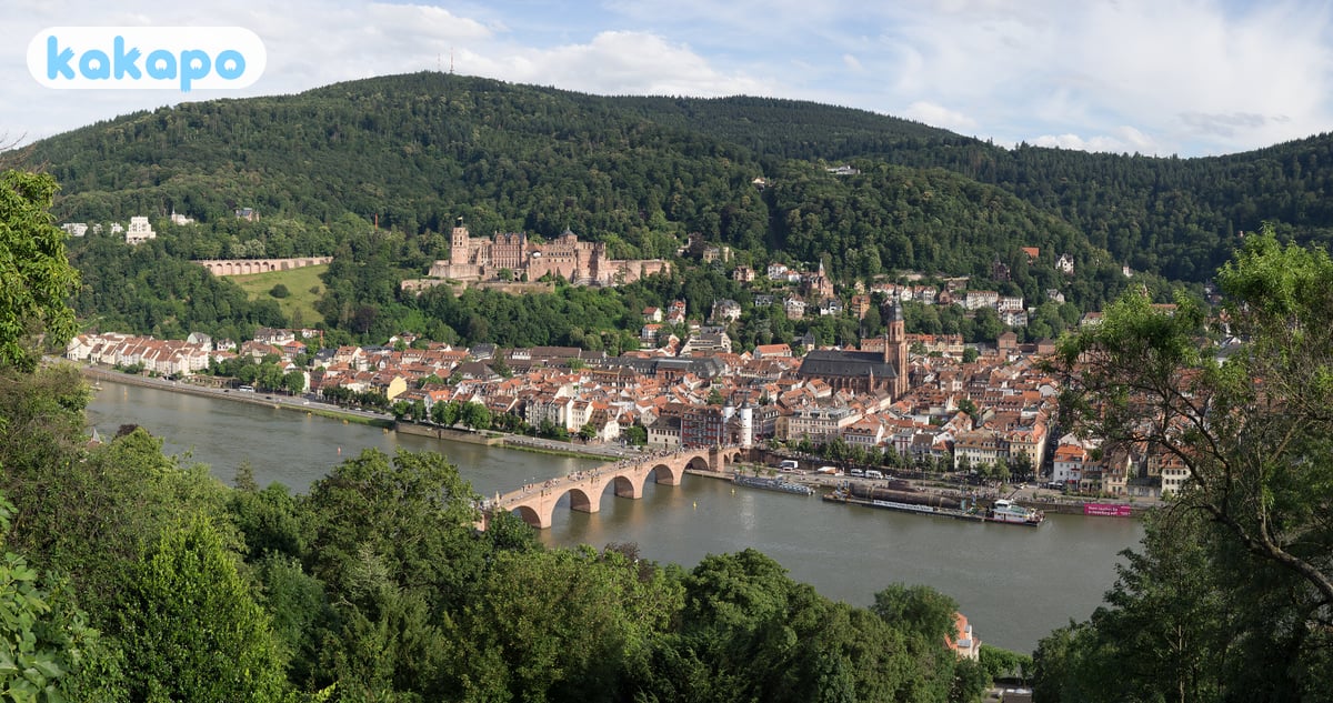 Trams, S-Bahn, l'aéroport in Heidelberg, Allemagne — Guide de sécurité voyage Kakapo