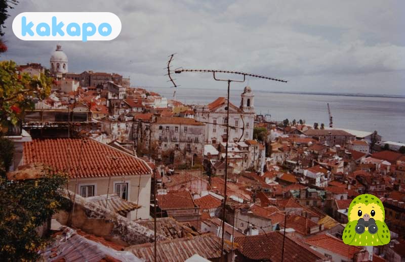 Zones — confortables partout in Lisbon, Portugal — Guide de sécurité voyage Kakapo