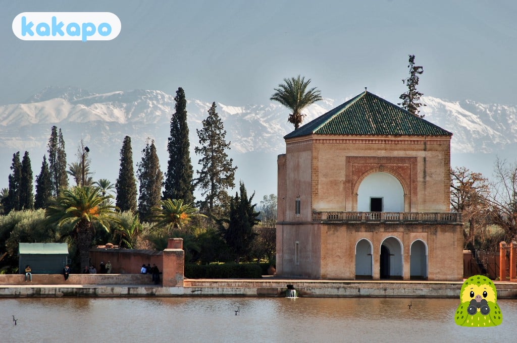 Petits taxis, ONCF, et excursions d'une journée à l'Atlas in Marrakech, Maroc — Guide de sécurité voyage Kakapo