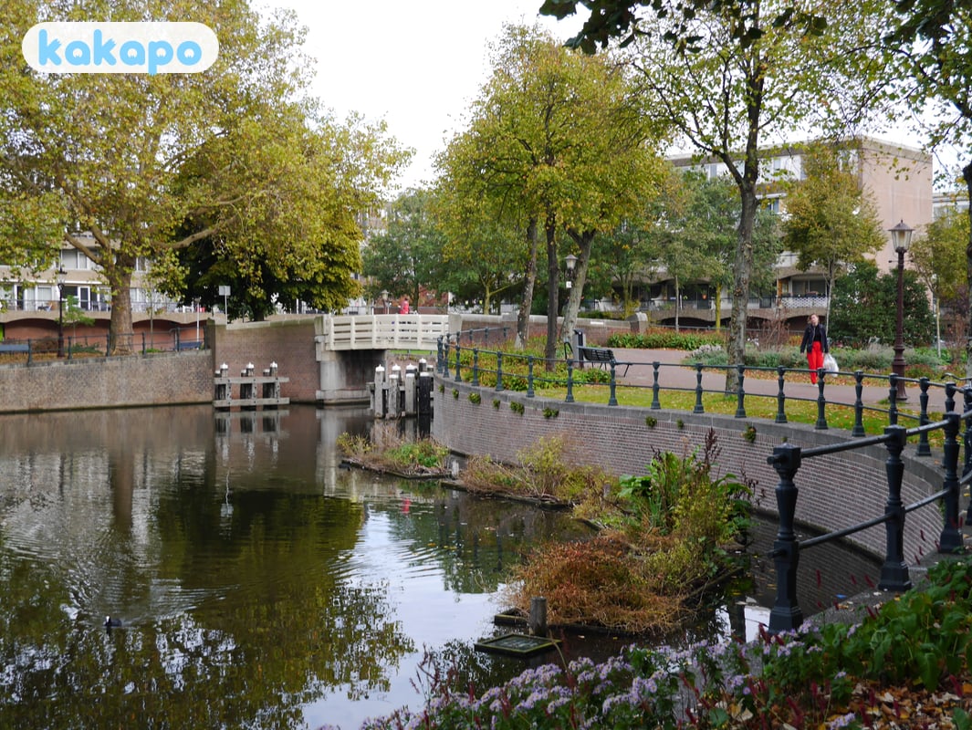 Canals and falling in in Amsterdam, Netherlands — Kakapo travel safety guide