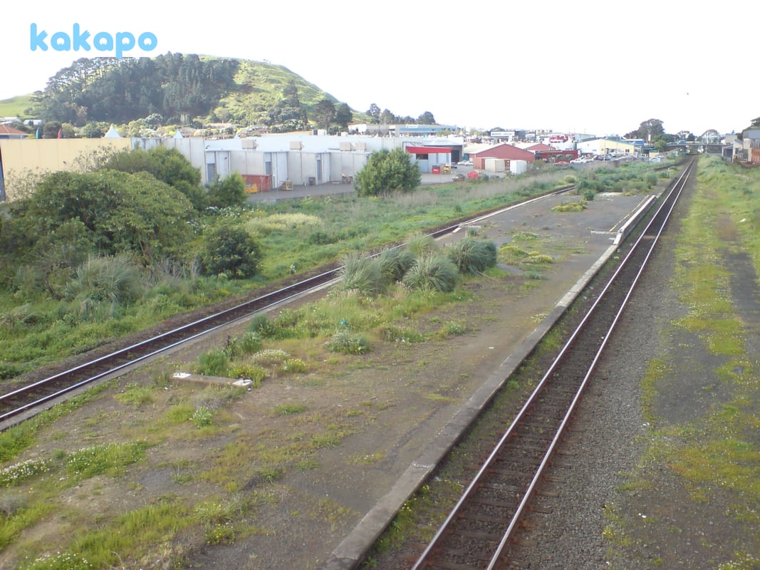 Areas — where to stay, where to be aware in Auckland, New Zealand — Kakapo travel safety guide