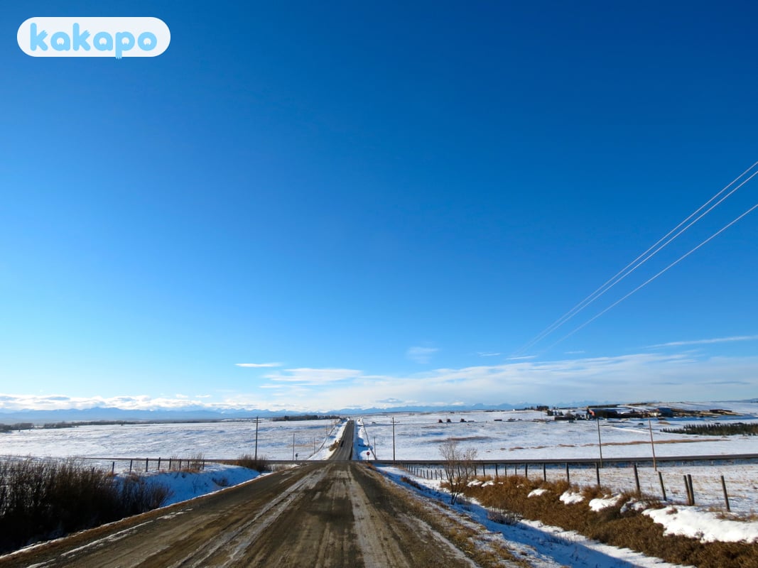 The road from Calgary in Banff, Canada — Kakapo travel safety guide