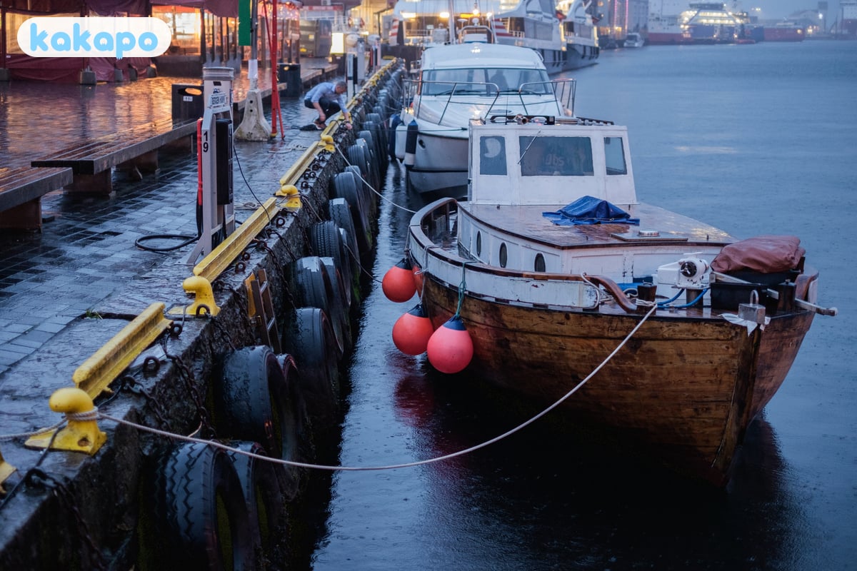 The rain — Bergen's defining feature in Bergen, Norway — Kakapo travel safety guide