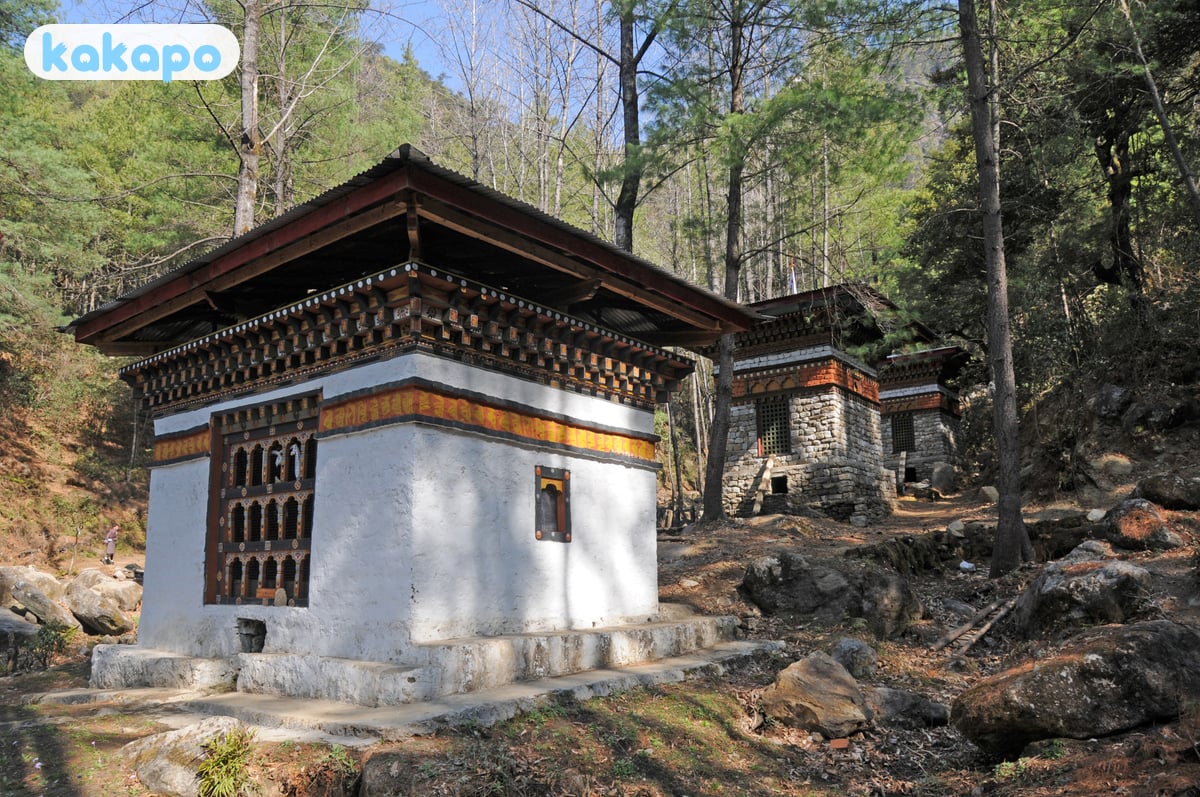 Tiger's Nest (Paro Taktsang) trail in Bhutan — Kakapo travel safety guide