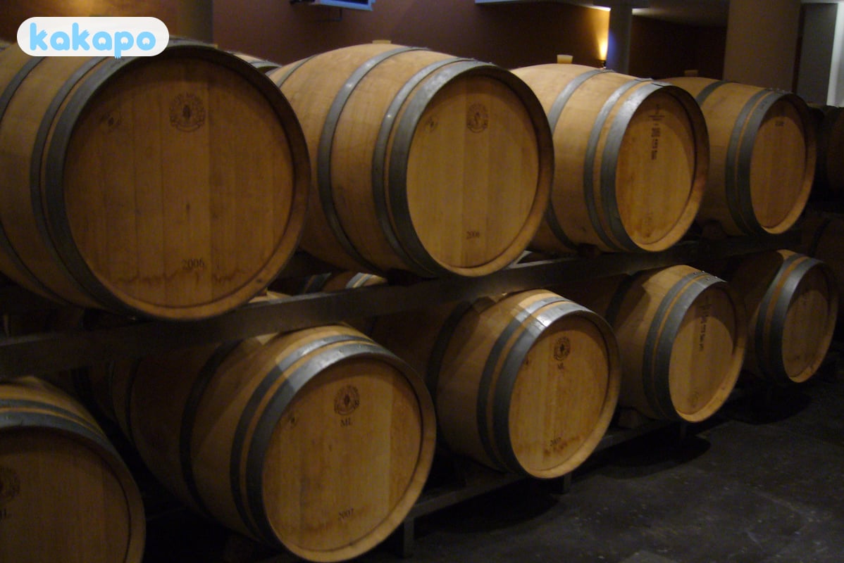 Wine country day trips in Bordeaux, France — Kakapo travel safety guide