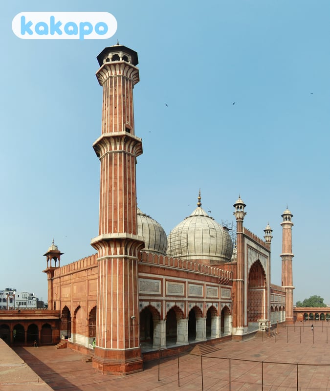 The women-only car — what it actually is in Delhi, India — Kakapo travel safety guide