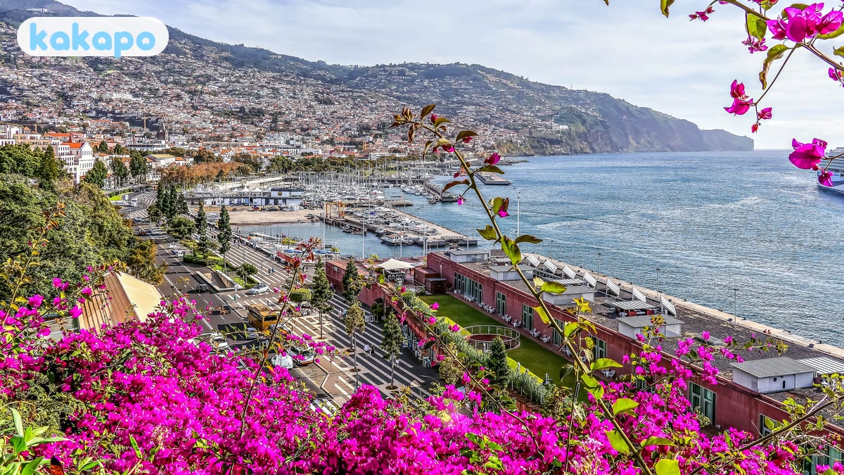 Cruise-ship days — the schedule matters in Funchal, Portugal — Kakapo travel safety guide