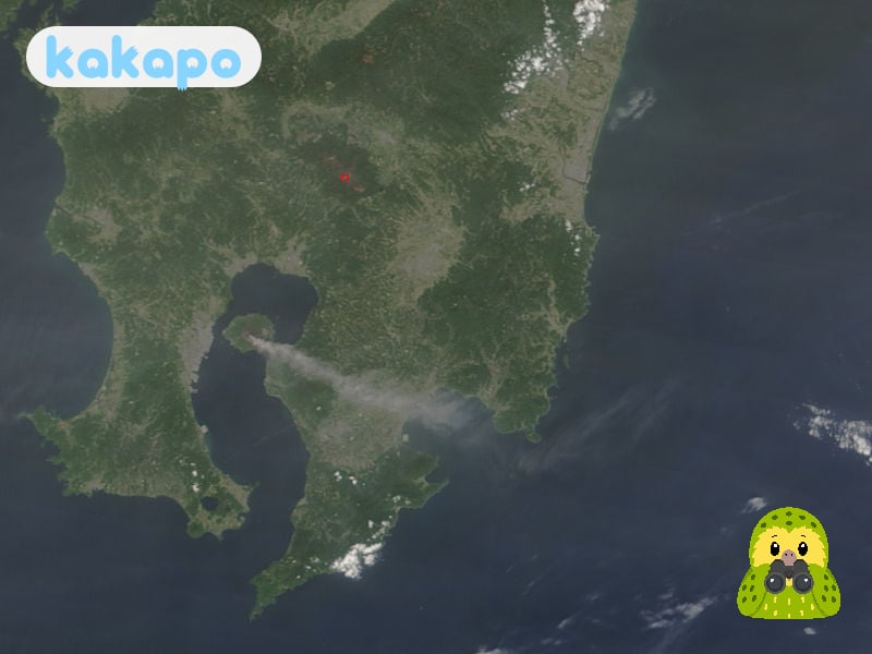 Advisory level in Japan — Kakapo travel safety guide