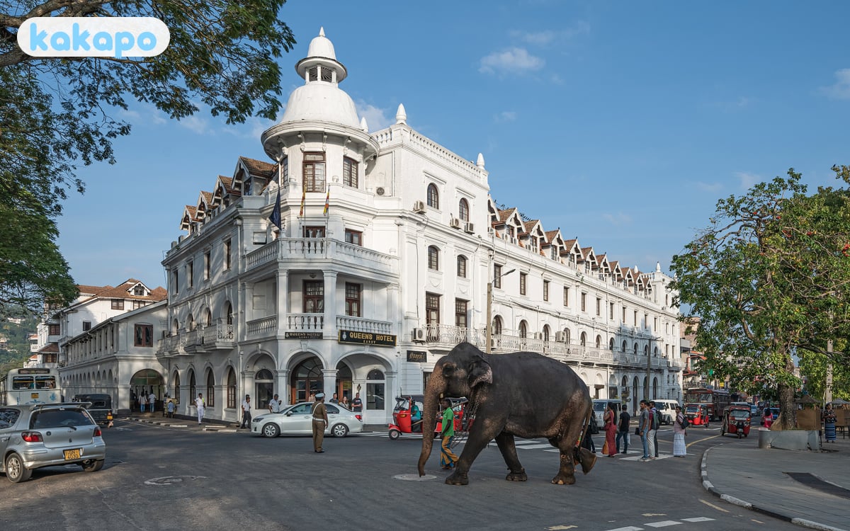 Temple of the Tooth — dress code and etiquette in Kandy, Sri Lanka — Kakapo travel safety guide