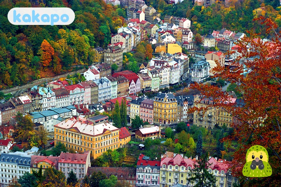Thermal-spring etiquette + the porcelain cup in Karlovy Vary, Czech Republic — Kakapo travel safety guide