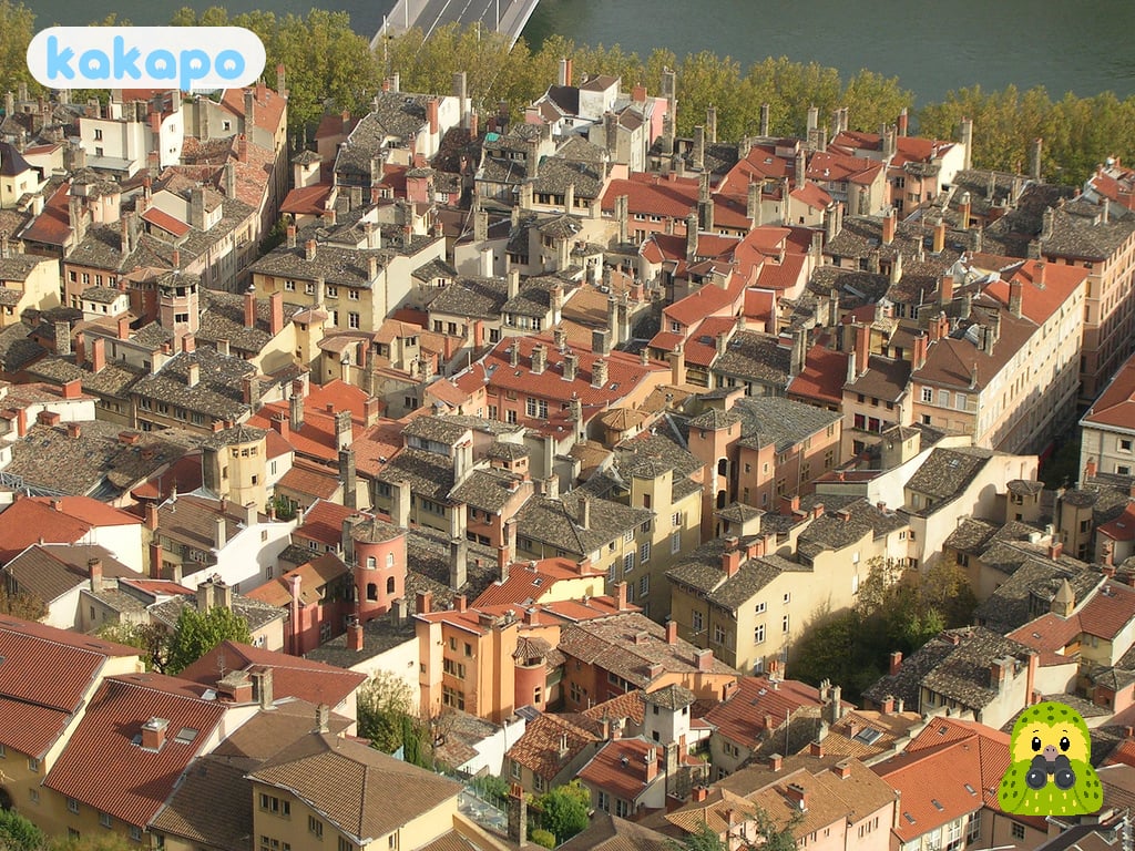 Areas — Vieux Lyon, Presqu'île, Croix-Rousse in Lyon, France — Kakapo travel safety guide