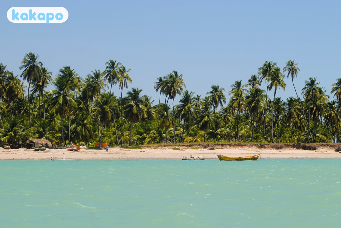 Pajuçara natural pools in Maceió, Brazil — Kakapo travel safety guide