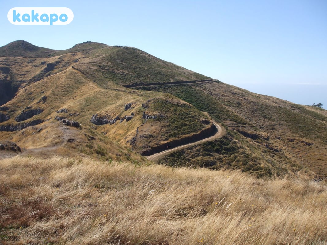 Mountain roads in Madeira, Portugal — Kakapo travel safety guide