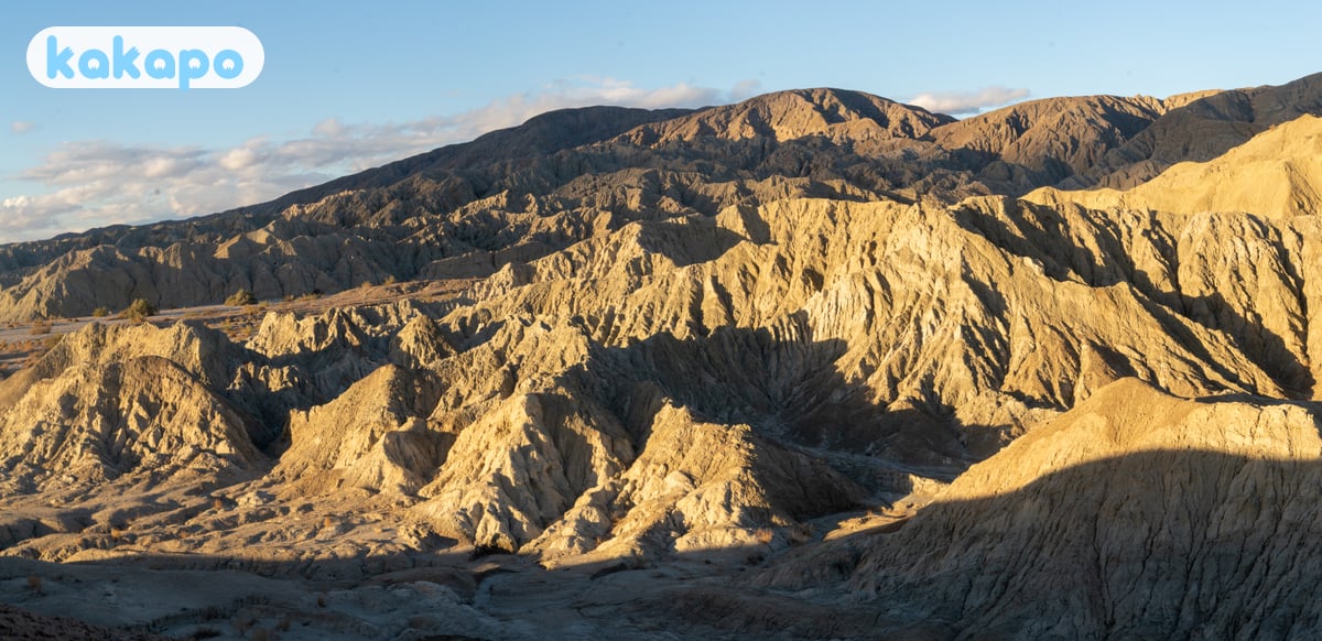 Surrounding area + day trips in Mecca, United States — Kakapo travel safety guide
