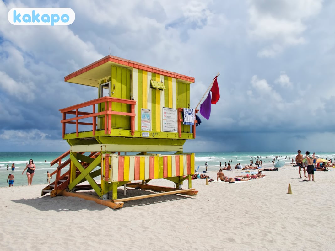 Ocean — rip currents, jellyfish in Miami, United States — Kakapo travel safety guide
