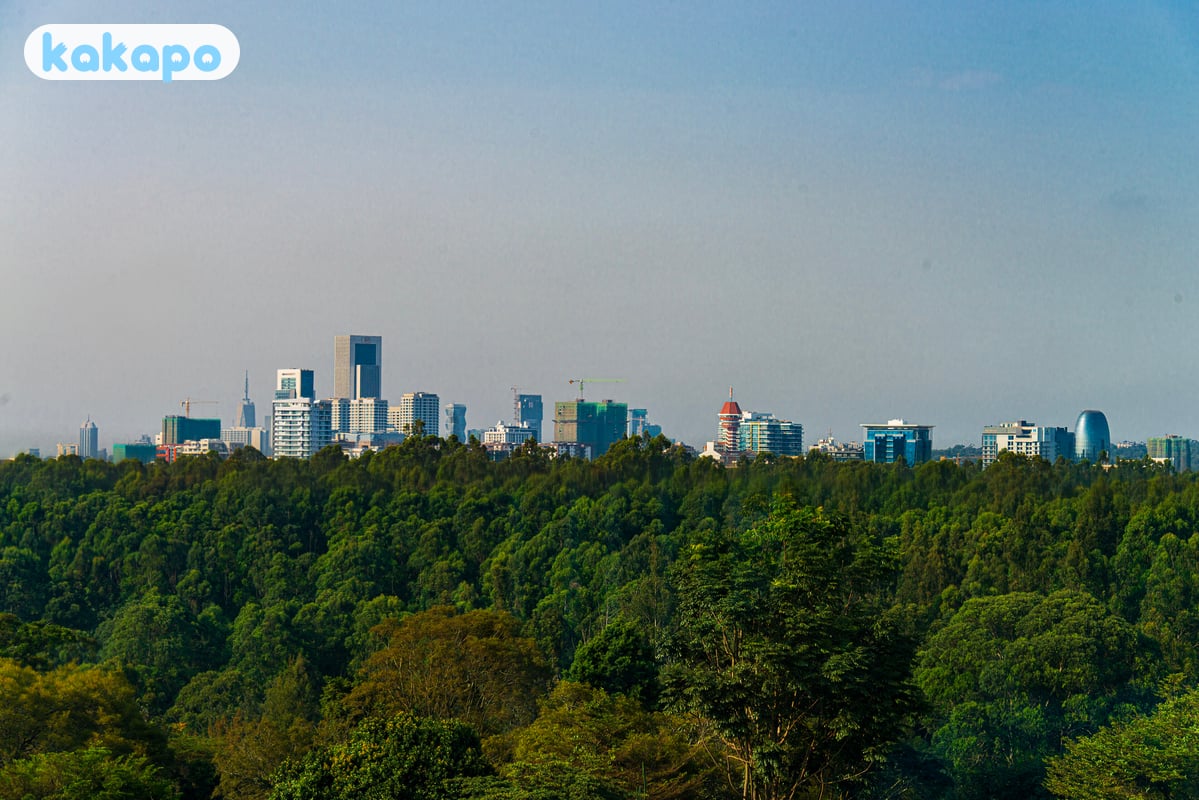 What a matatu actually is in Nairobi, Kenya — Kakapo travel safety guide