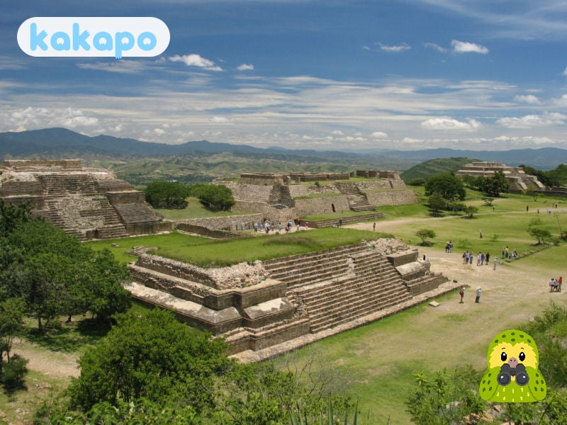 The Centro Histórico — your entire safe zone in Oaxaca City, Mexico — Kakapo travel safety guide