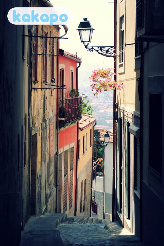 Neighbourhood-by-neighbourhood breakdown in Porto, Portugal — Kakapo travel safety guide
