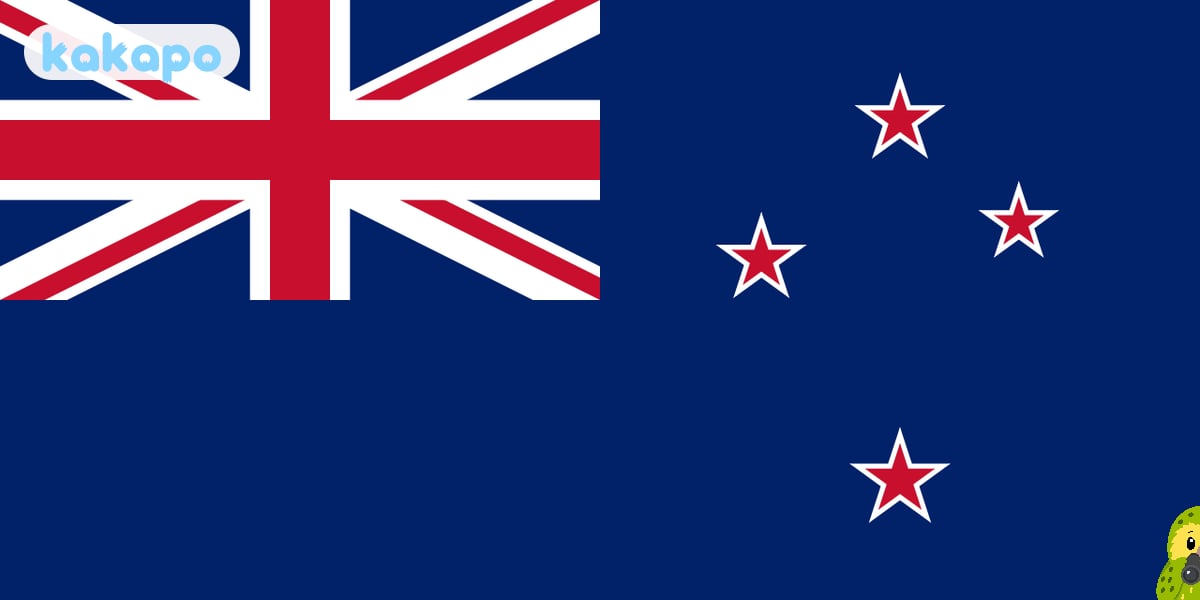 Adventure activities and the travel-insurance gotcha in Queenstown, New Zealand — Kakapo travel safety guide