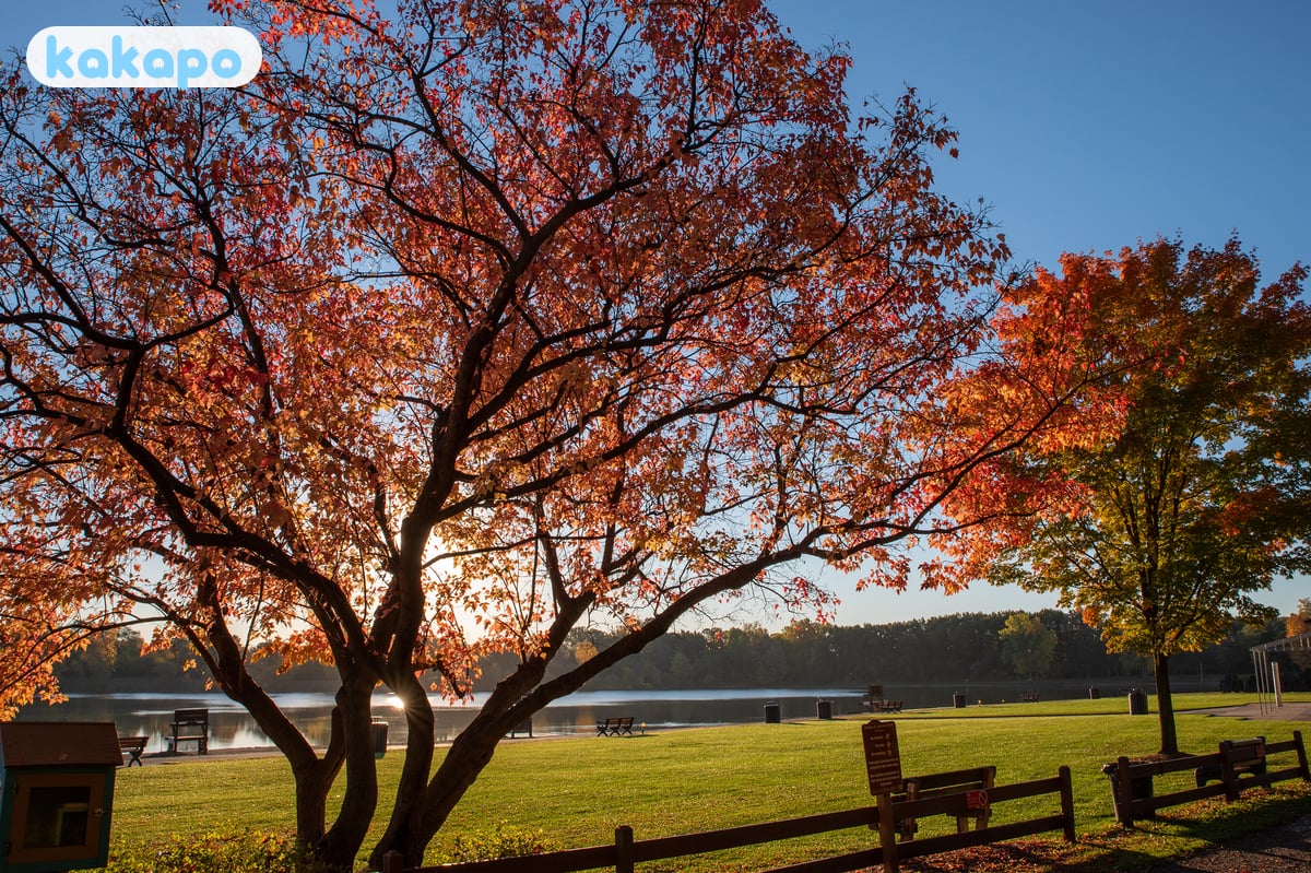 Areas to know in Rochester Hills, United States — Kakapo travel safety guide