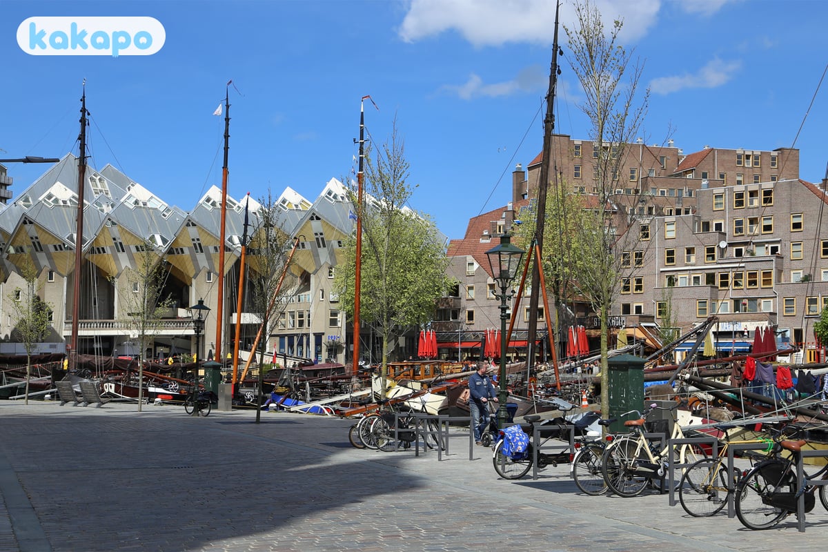 Neighbourhoods — what to know in Rotterdam, Netherlands — Kakapo travel safety guide