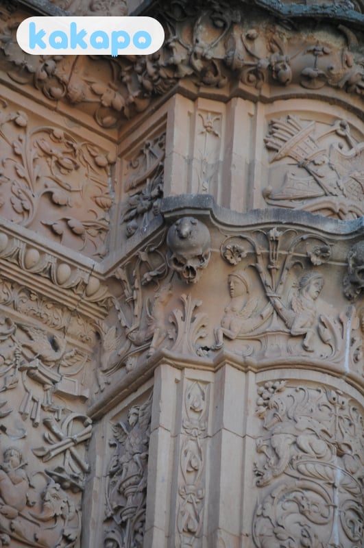 Universidad de Salamanca — the frog + the facade in Salamanca, Spain — Kakapo travel safety guide