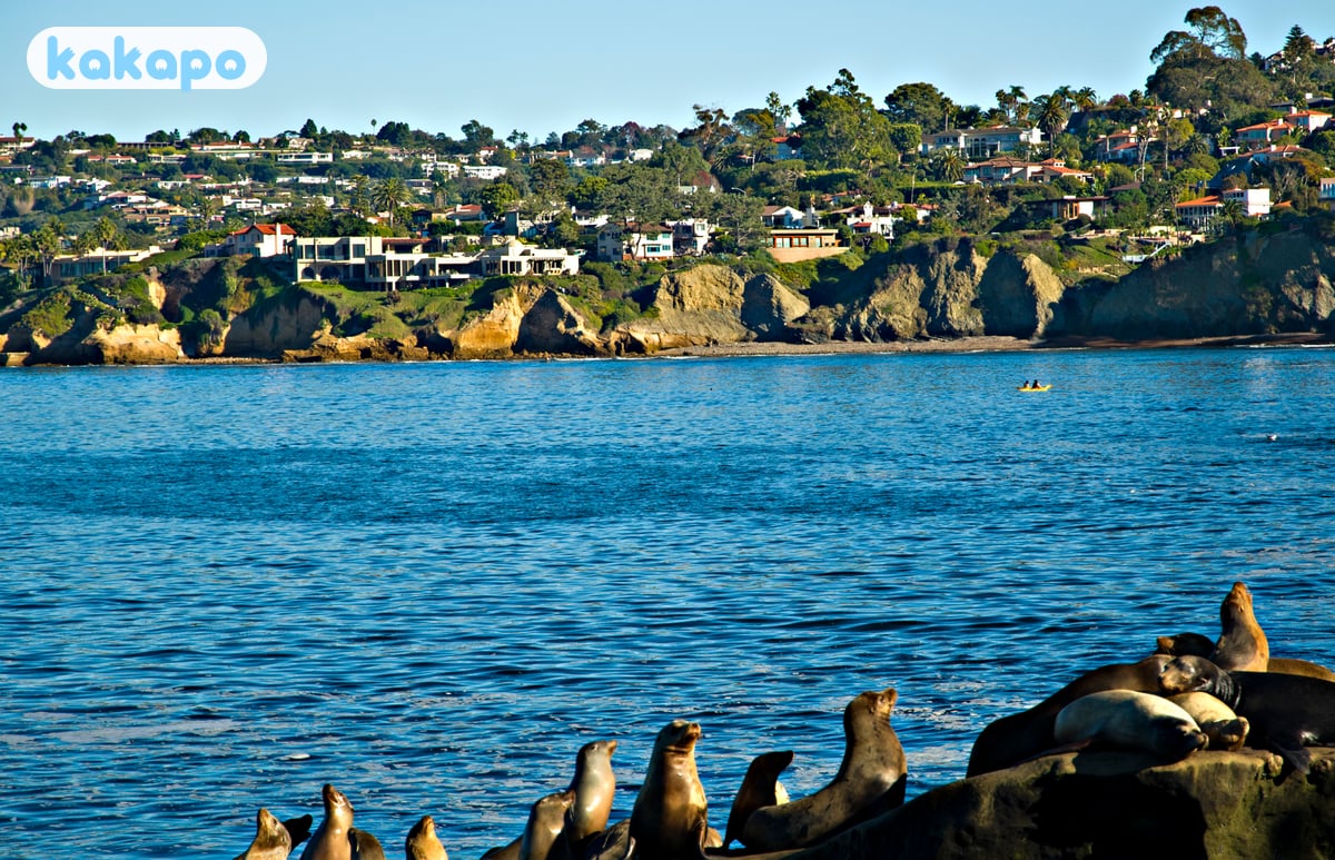 Pacific beaches — rip currents, jellyfish in San Diego, United States — Kakapo travel safety guide