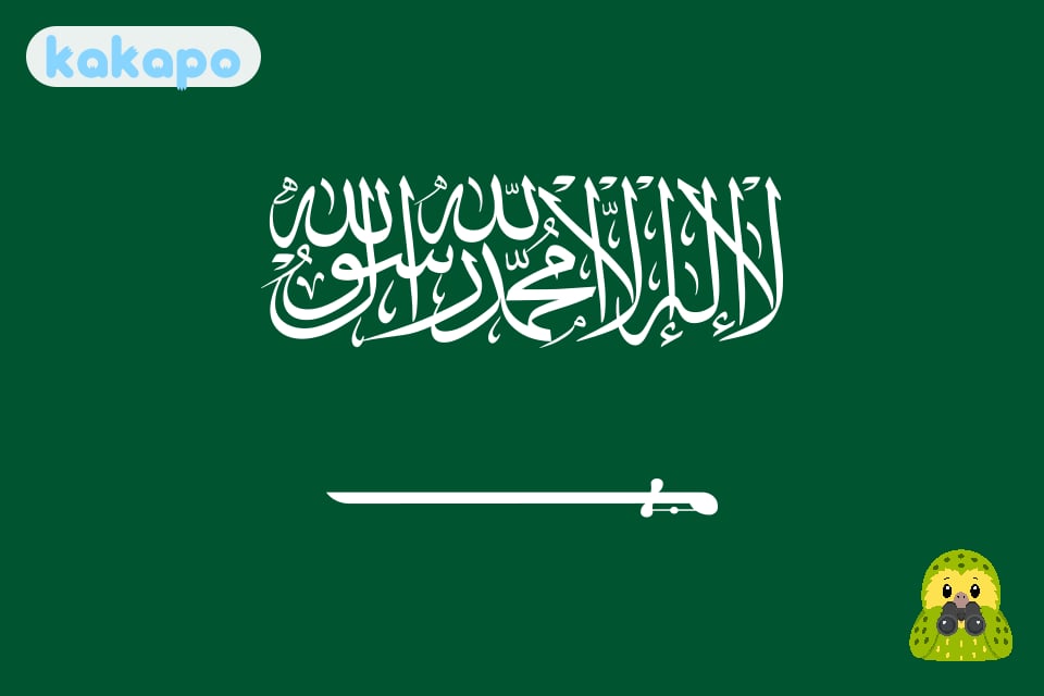 What Vision 2030 actually changed for tourists in Saudi Arabia (AlUla, Diriyah, Riyadh, Jeddah), Saudi Arabia — Kakapo travel safety guide