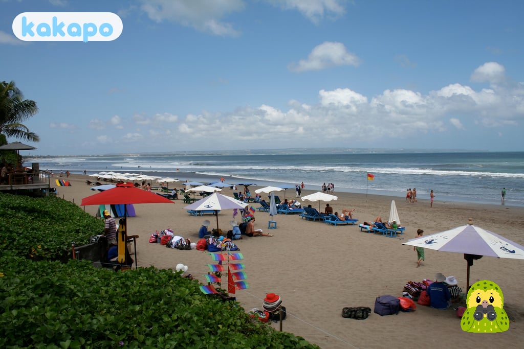 Motorbike crashes — the #1 Bali tourist injury in Seminyak, Indonesia — Kakapo travel safety guide