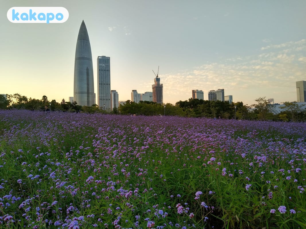 The Hong Kong border crossing in Shenzhen Bay Park, China — Kakapo travel safety guide