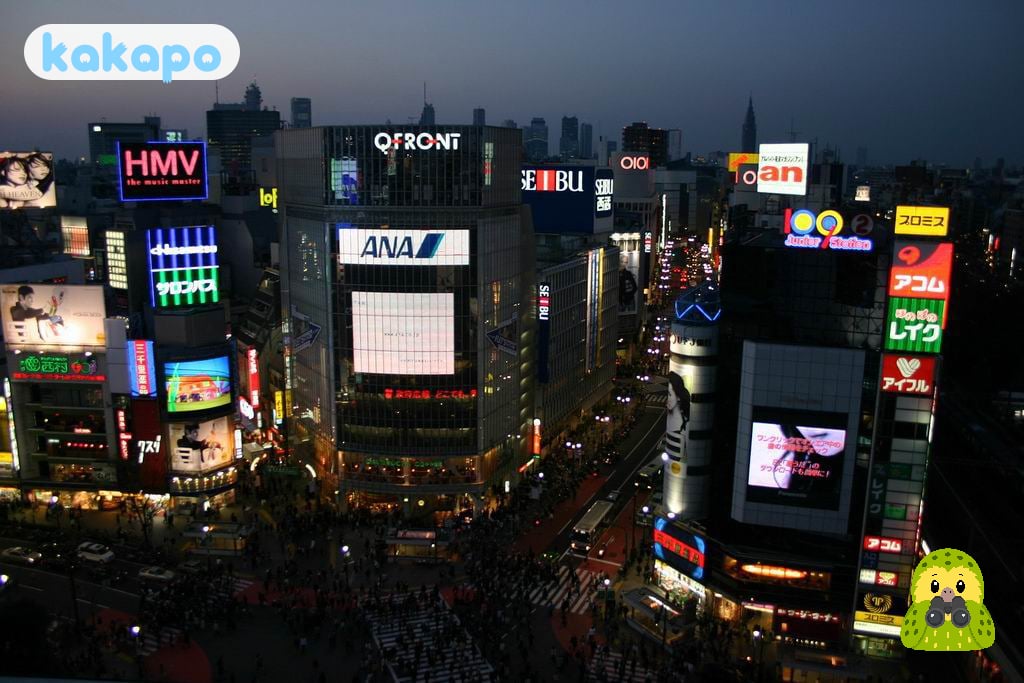 Center Gai and late-night Shibuya in Shibuya, Japan — Kakapo travel safety guide