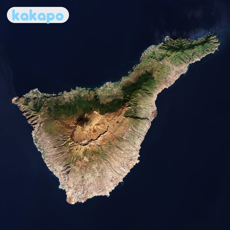 First — are you sure you mean this Tenerife? in Tenerife, Colombia — Kakapo travel safety guide
