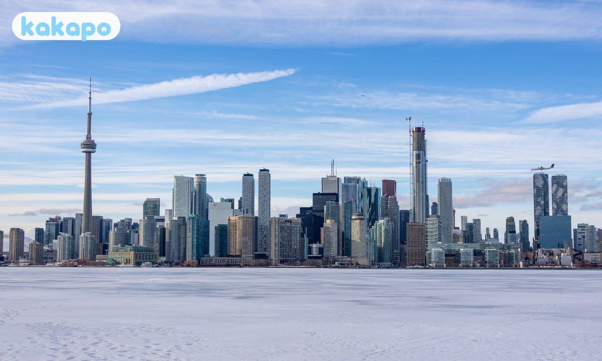 The TTC — context and the 2022-24 incidents in Toronto, Canada — Kakapo travel safety guide