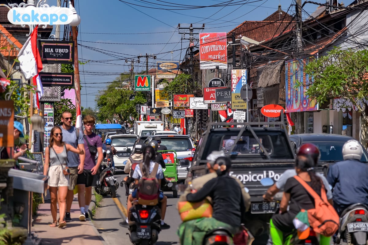 Sacred Monkey Forest — the macaque bag-snatching reality in Ubud, Indonesia — Kakapo travel safety guide