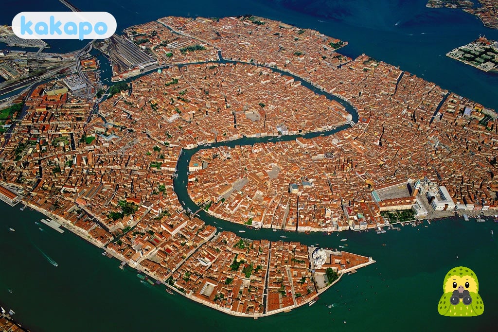 Neighbourhoods + nearby coast in Venice, United States — Kakapo travel safety guide