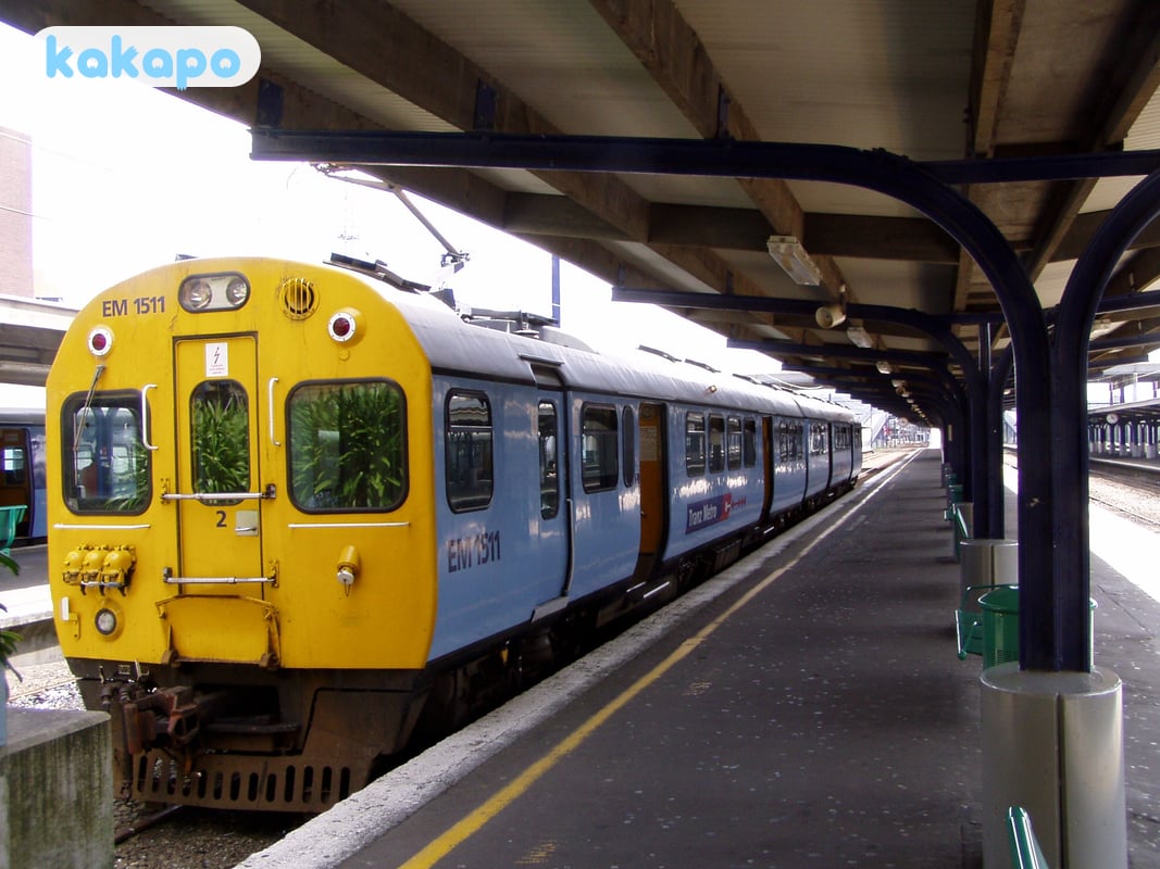 Cable Car, buses, trains, and the airport approach in Wellington, New Zealand — Kakapo travel safety guide
