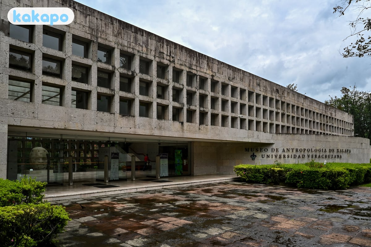 Museum of Anthropology in Xalapa, Mexico — Kakapo travel safety guide