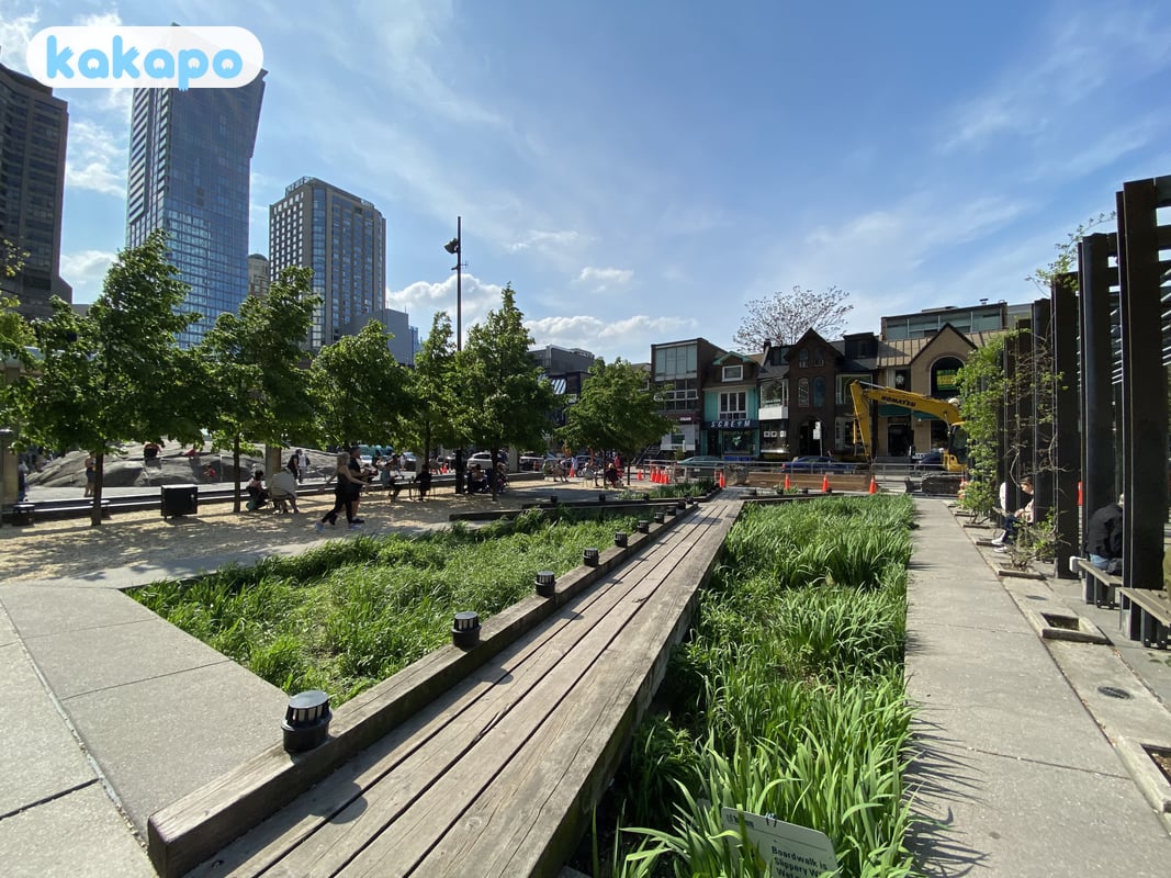 Yorkville hour by hour after dark in Yorkville, Toronto, Canada — Kakapo travel safety guide